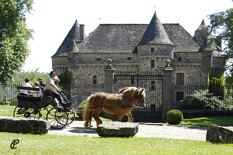 Promenade en calèche dans le parc du château